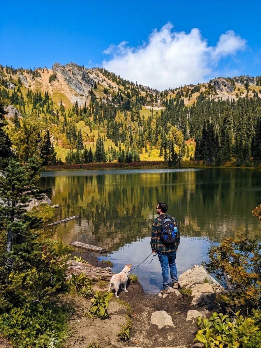 A hiker and their leashed dog at the shore of Sheep Lake, fall color running up the ridge behind and the whole slope mirrored in still water
